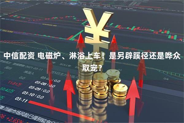 中信配资 电磁炉、淋浴上车!是另辟蹊径还是哗众取宠?