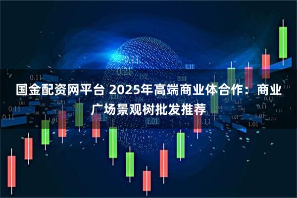 国金配资网平台 2025年高端商业体合作：商业广场景观树批发推荐