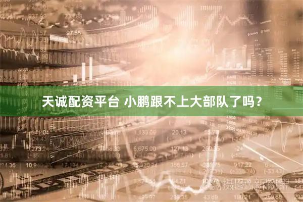 天诚配资平台 小鹏跟不上大部队了吗?